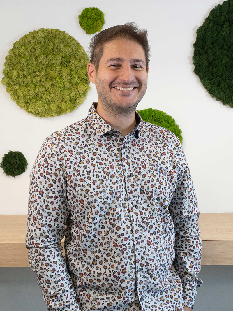 Immagine del Software developer 1